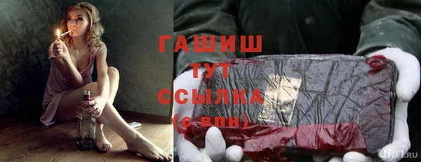стаф Алексин