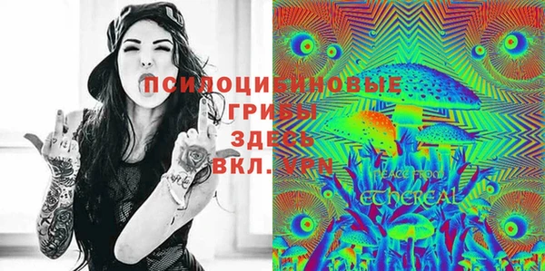 стаф Алексин
