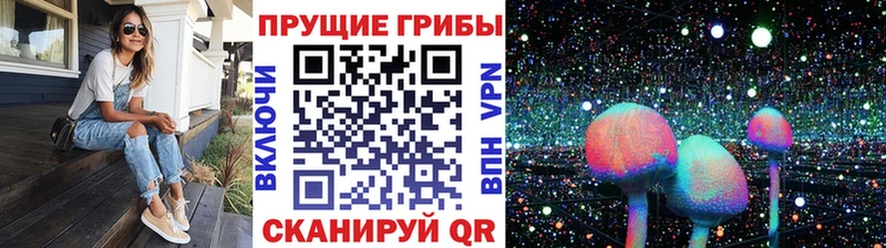 цена наркотик  Армянск  Галлюциногенные грибы прущие грибы 